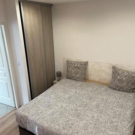 Appartement Oasis Proche De Lyon Groupama Lcdl メイジュー エクステリア 写真