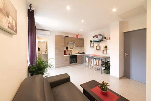 Appartement Oasis Proche De Lyon Groupama Lcdl メイジュー エクステリア 写真